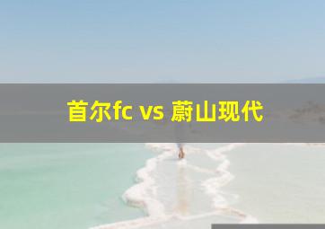 首尔fc vs 蔚山现代